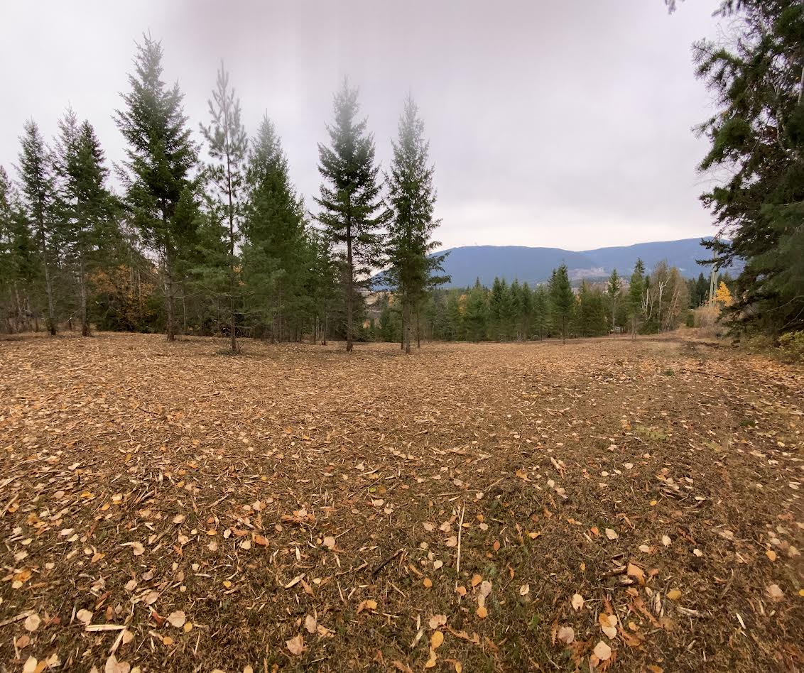 Completed low-disturbance vegetation treatment on a forested property