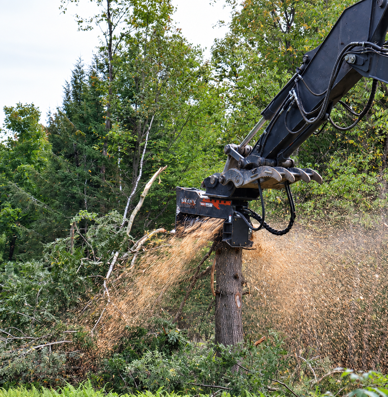 Excavator-mounted mulching head completing vegetation treatment